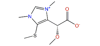 Reticulatin B